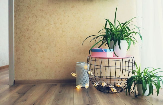 MalinaApt Pink Olive - Photo 19