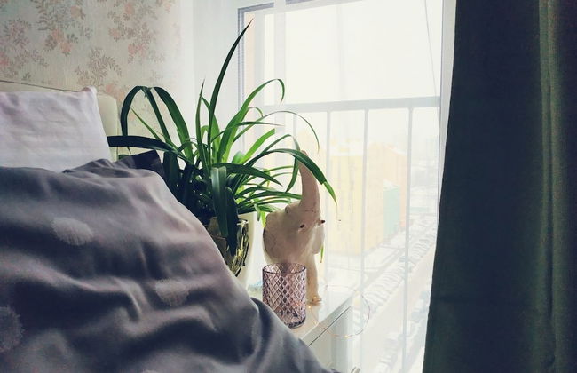 MalinaApt Pink Olive - Photo 17