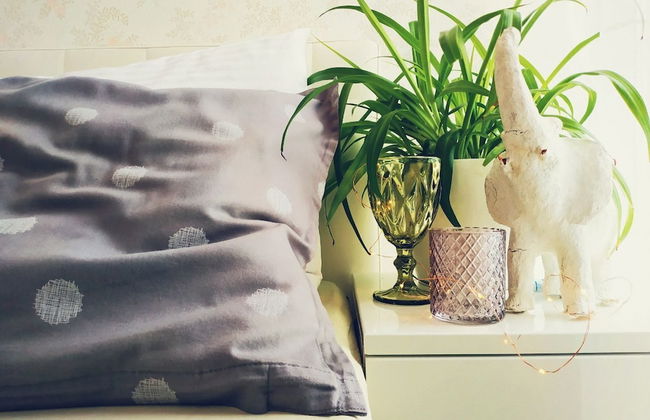 MalinaApt Pink Olive - Photo 16