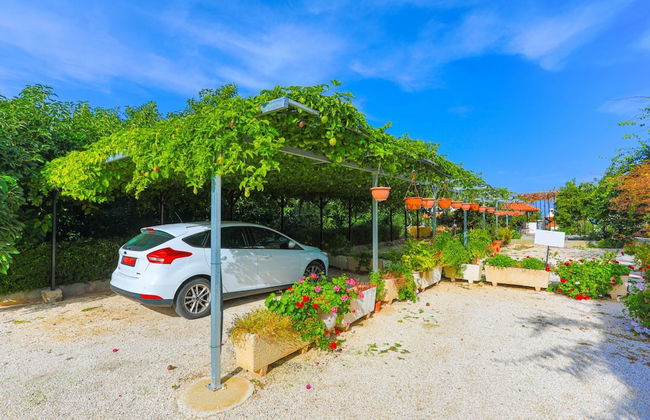 Villa Ira Finiki in Latchi - Photo 42