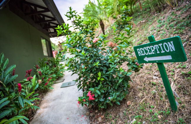 Tiki Villas Rainforest Lodge & Spa - Foto 69