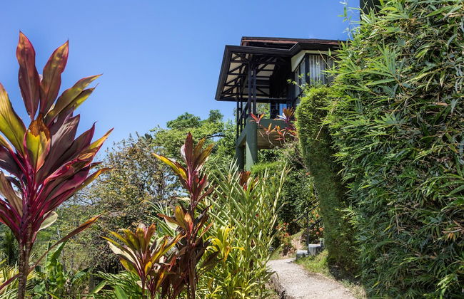 Tiki Villas Rainforest Lodge & Spa - Foto 70