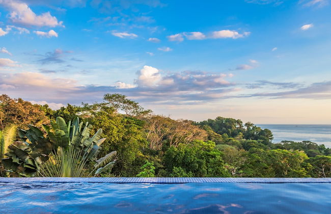Tiki Villas Rainforest Lodge & Spa - Foto 24