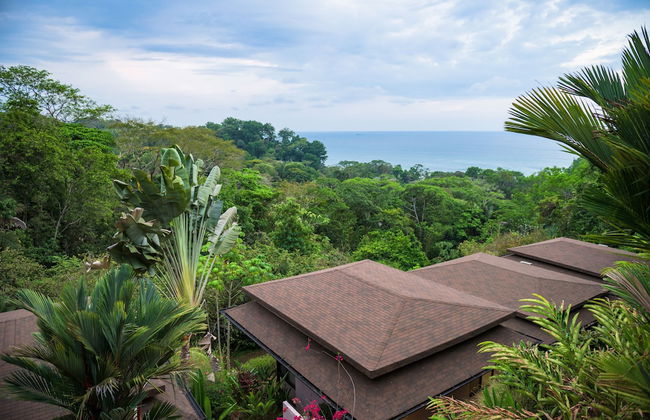 Tiki Villas Rainforest Lodge & Spa - Foto 77