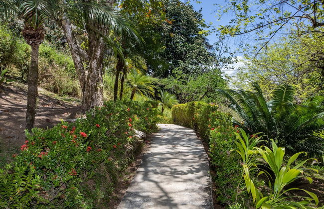 Tiki Villas Rainforest Lodge & Spa - Foto 71