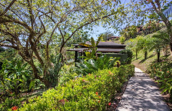 Tiki Villas Rainforest Lodge & Spa - Foto 72