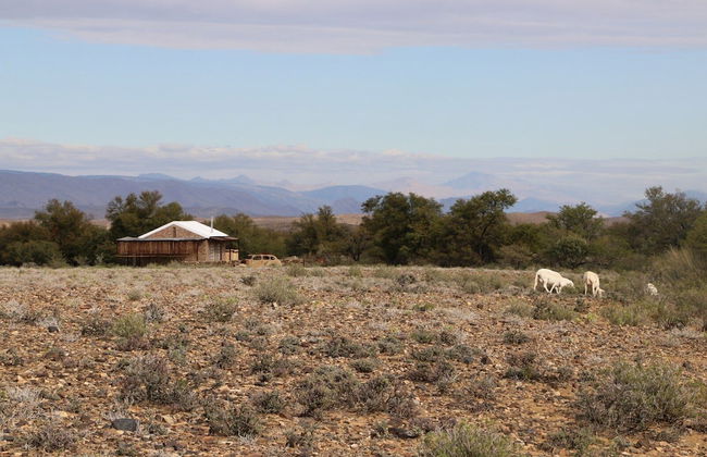Wolvekraal Guest Farm - Photo 34