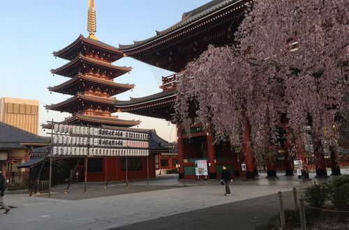 Photo 36 - Oriental Lodge Asakusa