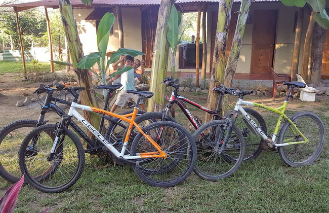 El Gecko - Foto 24