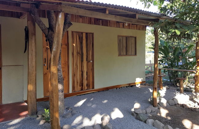 El Gecko - Foto 10