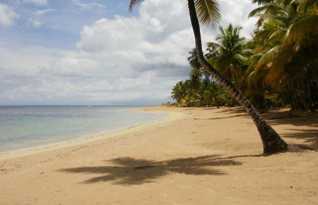 Charming Caribbean Style Villa Near Superb Beach - Foto 19