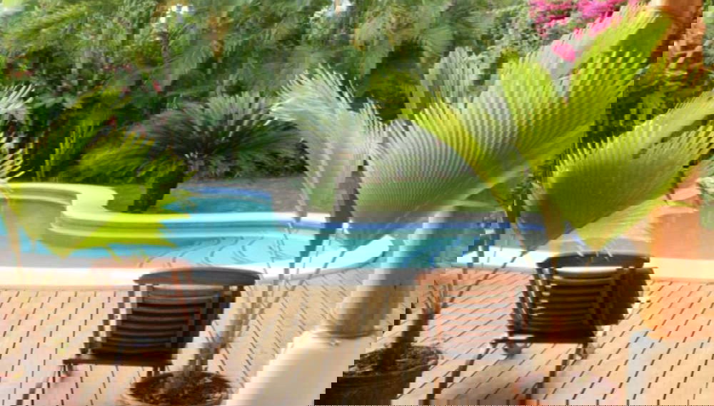 Imagem principal