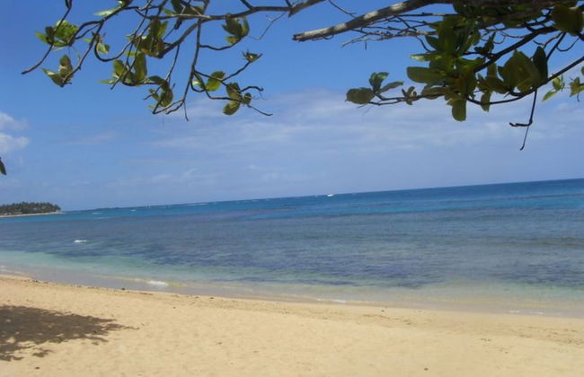 Charming Caribbean Style Villa Near Superb Beach - Foto 20