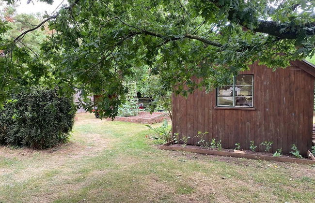 Orchard Cabin Herefordshire Wye Valley - Foto 8