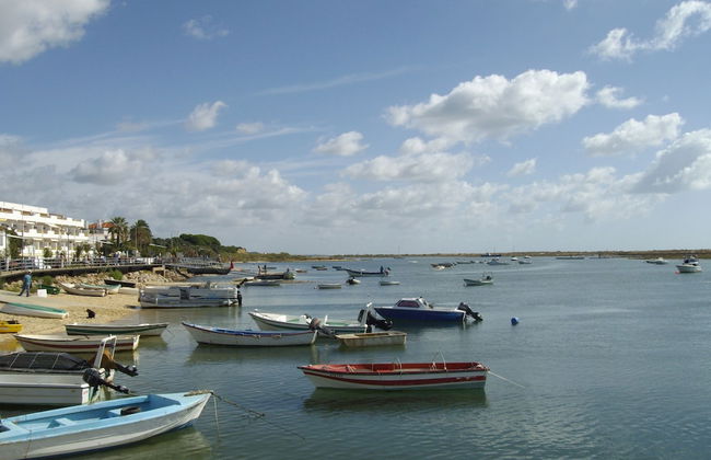 800m From the Boat to Praia das Cabanas, With Pool, Terrace, Wifi and air con - Foto 18