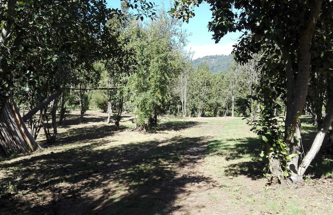 Cabaña Rústica 2 Maravillosa,con Troncos Nativos, con Orilla de Río Trancura - Foto 52