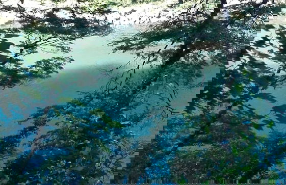 Cabaña Rústica 2 Maravillosa,con Troncos Nativos, con Orilla de Río Trancura - Foto 27