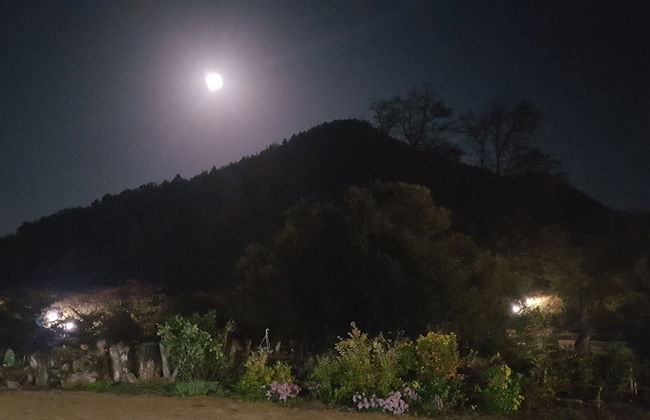 Moonlight House - Foto 42