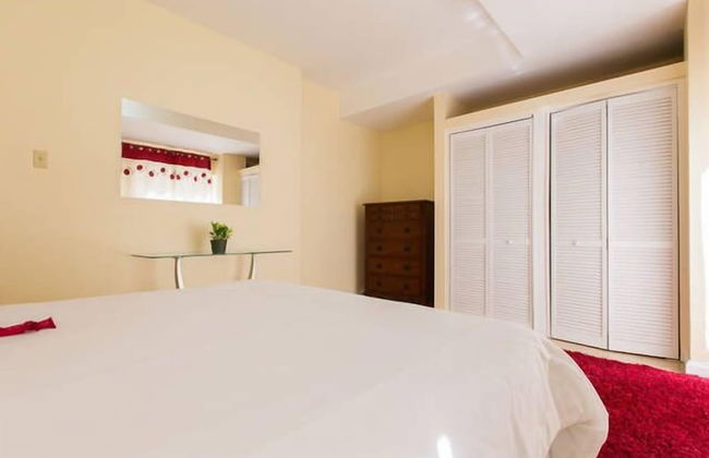 New Kingston Apartments at Kensington - Photo 4