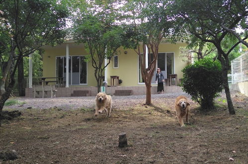 Photo 1 - Guests & Dogs House Hale Ilio