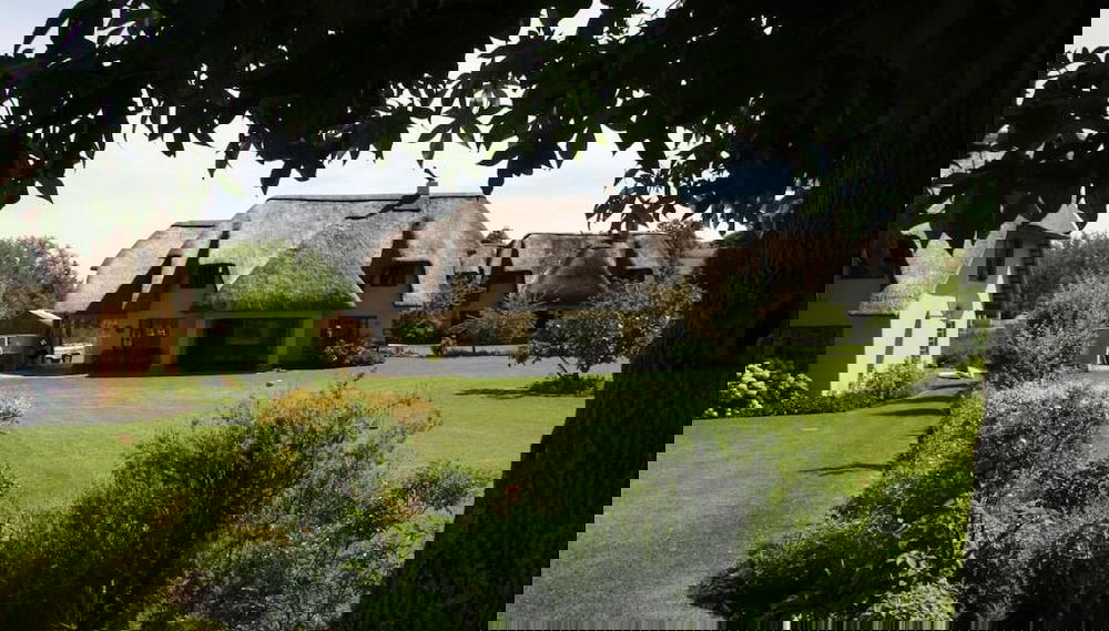 Primary image