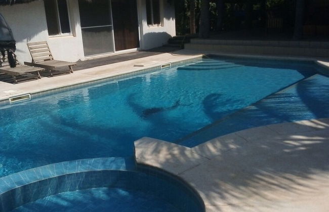 Au Parc Des Princes - Foto 1