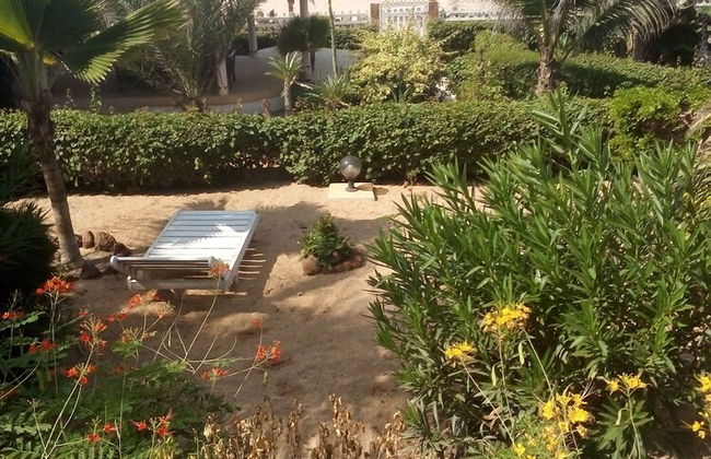 Au Parc Des Princes - Foto 11