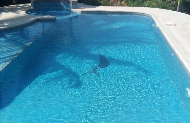 Au Parc Des Princes - Foto 10