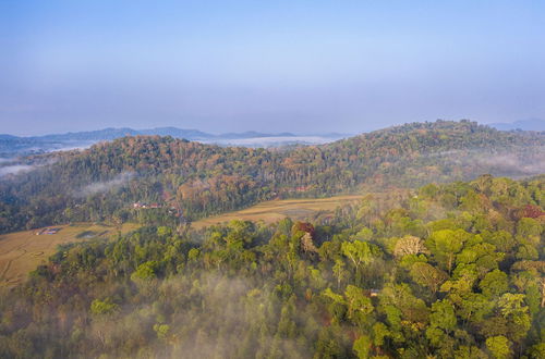 Photo 55 - amã Stays & Trails, Rare Earth Estate - Coorg