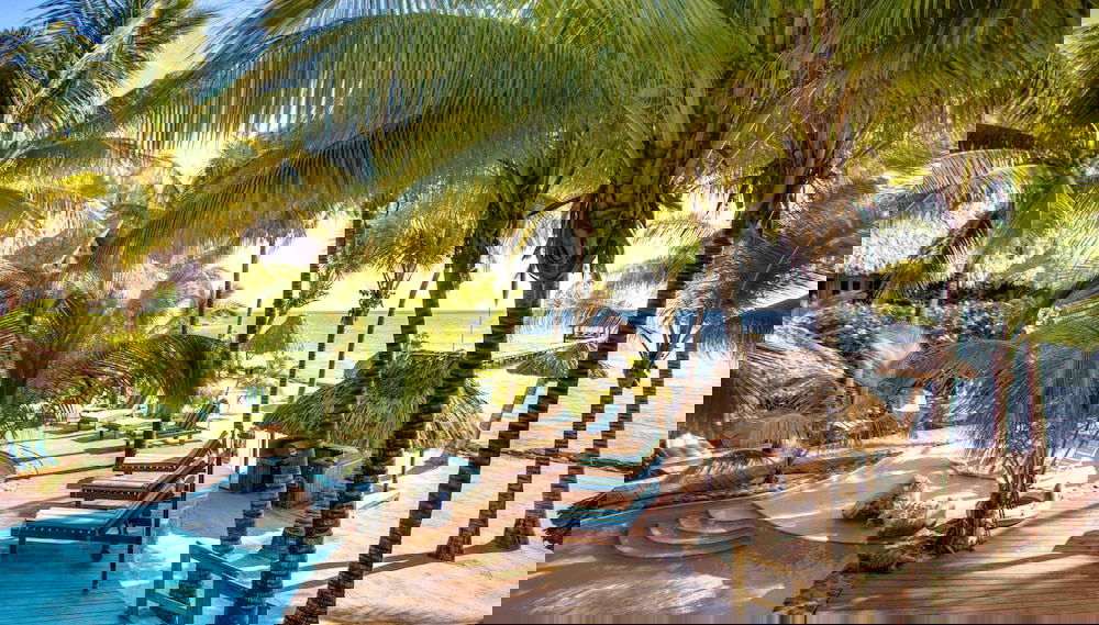 Imagem principal