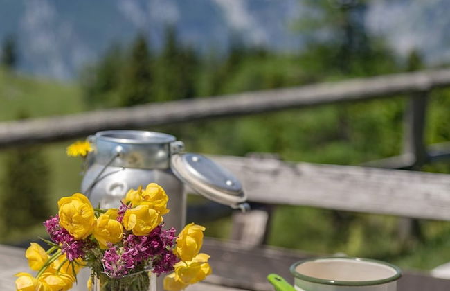 To Fall In Love - Chalet Zlatica - Velika Planina - Foto 20