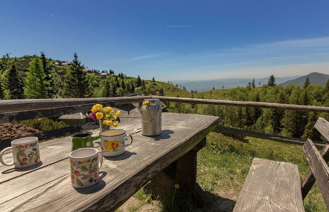 To Fall In Love - Chalet Zlatica - Velika Planina - Foto 16