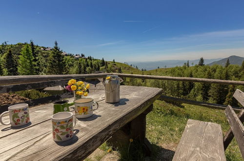 Photo 16 - To Fall In Love - Chalet Zlatica - Velika Planina