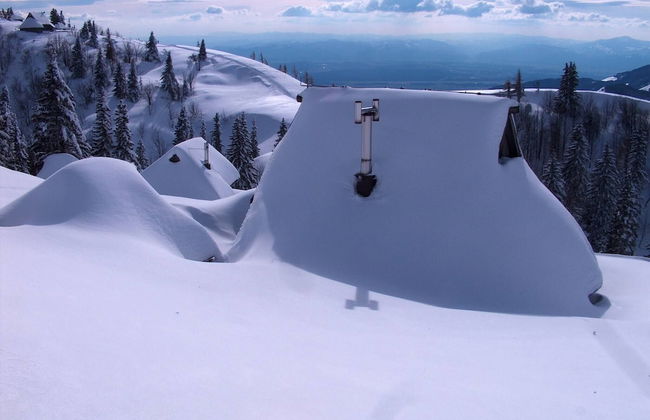 To Fall In Love - Chalet Zlatica - Velika Planina - Foto 14