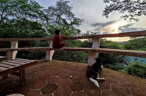 Photo 1 - Jungle House- Natural Ocean View Cabin