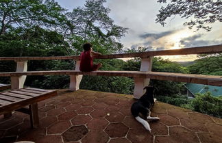 Photo 1 - Jungle House- Natural Ocean View Cabin