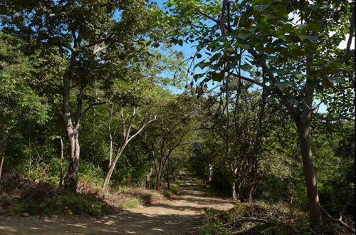 Photo 21 - Jungle House- Natural Ocean View Cabin