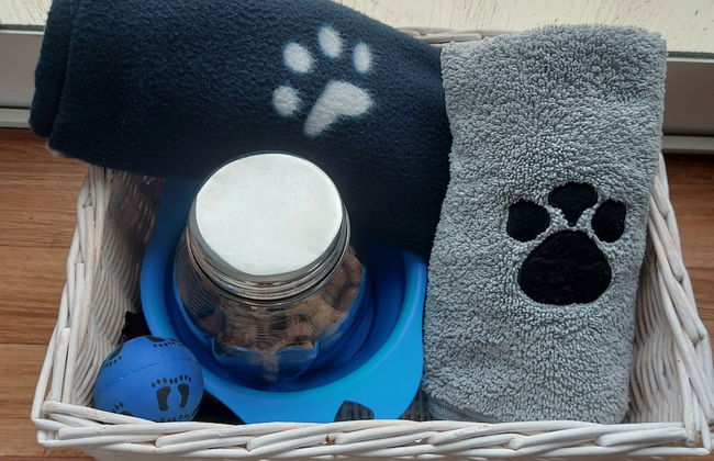 Dog Friendly Caravan on the Northumberian Coast - Foto 5