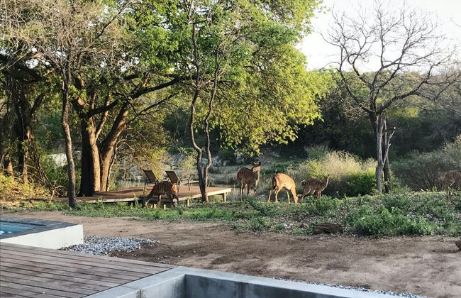 Discover the Attraction of Villa Umoja - Foto 4