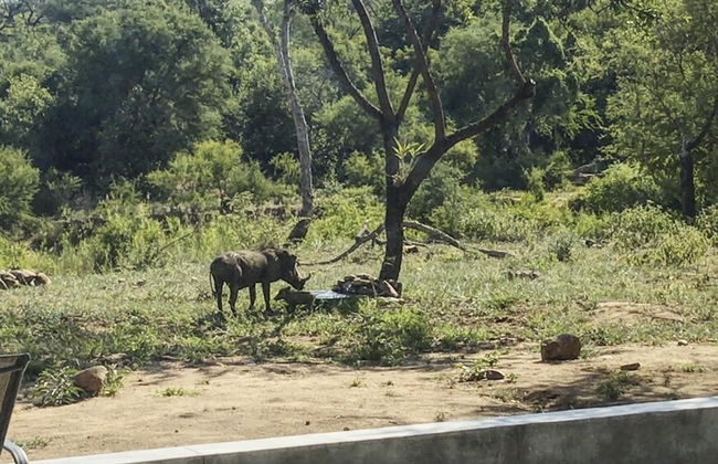 Discover the Attraction of Villa Umoja - Foto 21