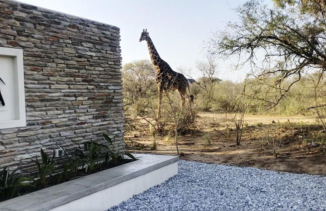 Discover the Attraction of Villa Umoja - Foto 10