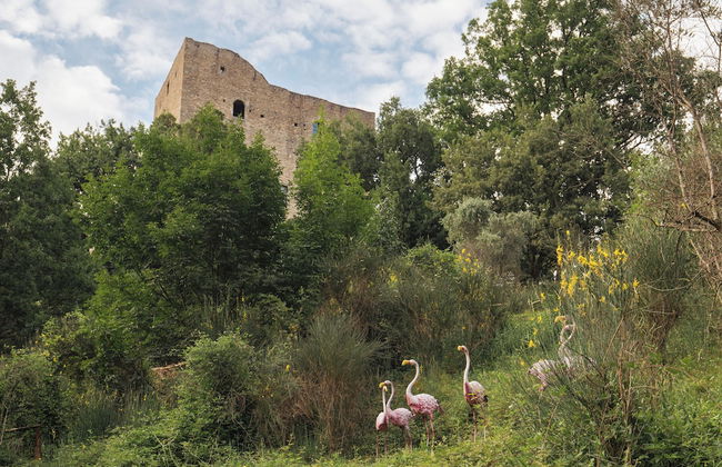 tenuta castel dell'aquila - Foto 39