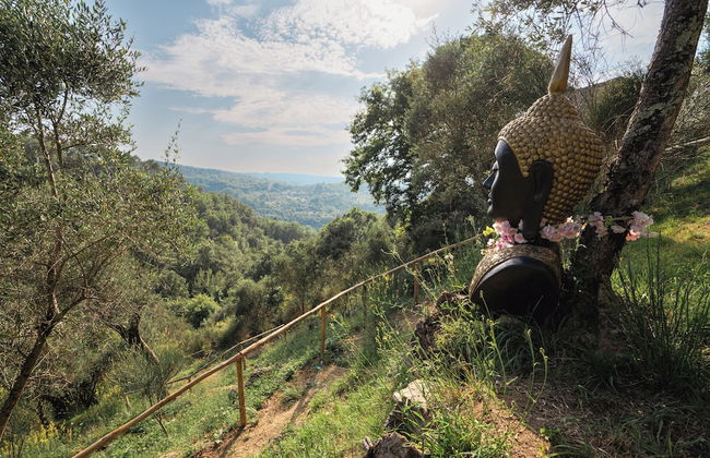 tenuta castel dell'aquila - Foto 43