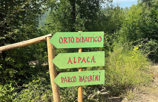 tenuta castel dell'aquila - Foto 49