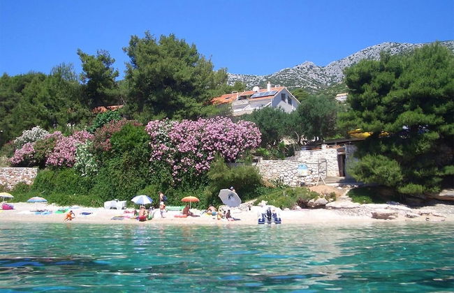 Dino - Gorgeous Garden - A3 Island - Photo 16