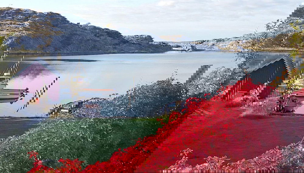 Imagem principal