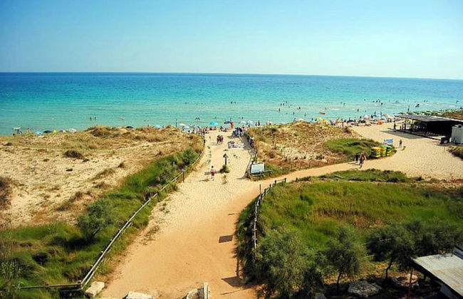 Lentisco - Residenza Arcangela con Piscine nel Salento - Foto 43