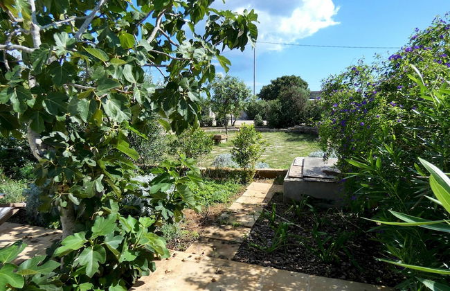 Lentisco - Residenza Arcangela con Piscine nel Salento - Foto 33