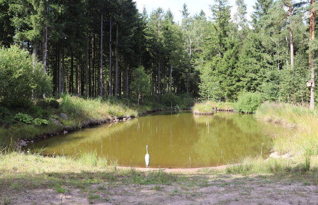 6 Person Holiday Home in Simlangsdalen - Photo 23