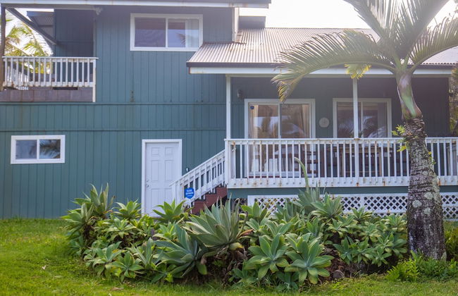Hale Honu 2 Bedroom Home by RedAwning - Foto 19